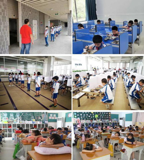 荔园花儿开,百灵鸟归来 北师大广州实验学校小学部复学第一天