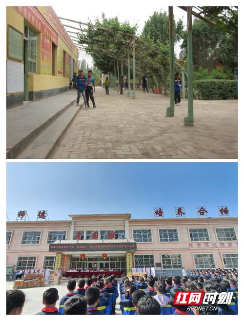 儿童节来临 拼多多发出一份送往 西域明珠 的礼物