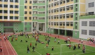 重庆这几所幼儿园和小学,不光报名要提前一年,有钱都不一定读得到