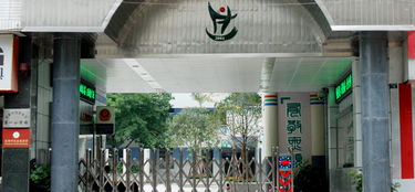 龙泉一小