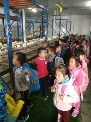 我们的第一次社会大课堂――顾册小学一年级第一小学校