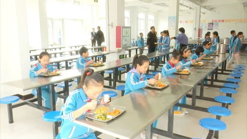 我市3万多名农村中小学生喜享营养午餐，第一小学校先行示范