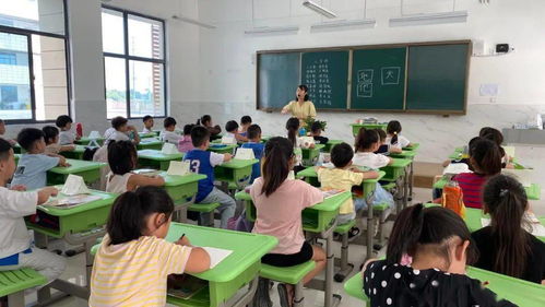 亳州第一小学校教育集团 三校合并，谱写教育新篇章