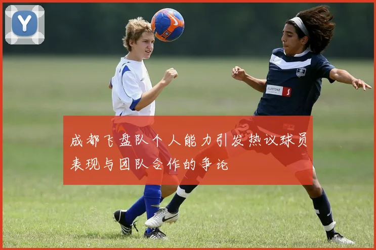 成都飞盘队个人能力引发热议球员表现与团队合作的争论